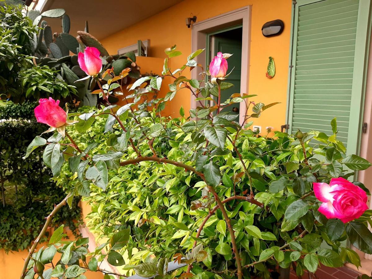 Casa Marta Bed & Breakfast Massa  Exterior photo